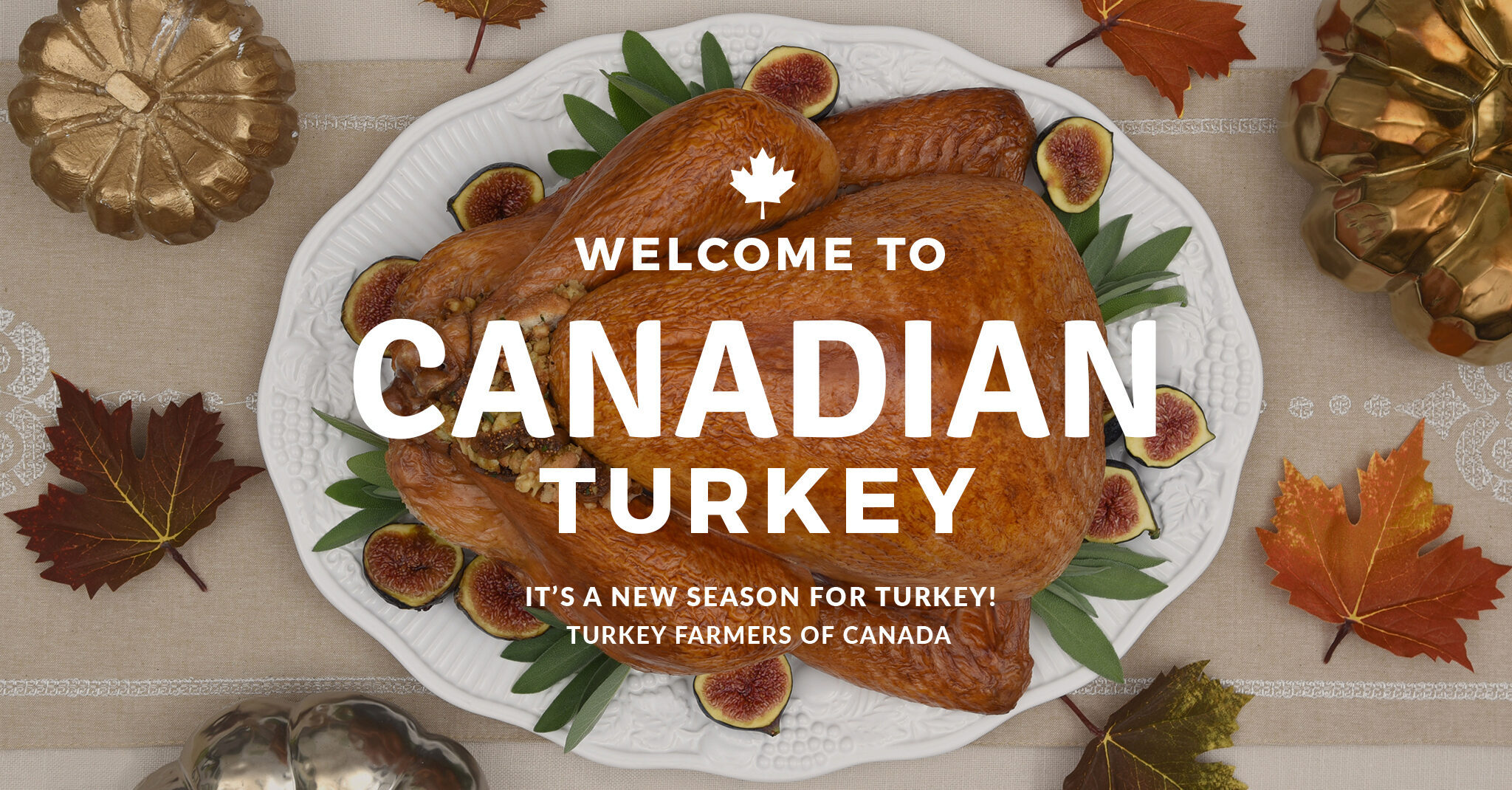 canada travel advice turkey